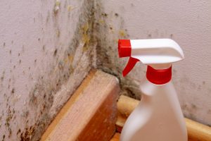 Affordable mould removal Adelaide